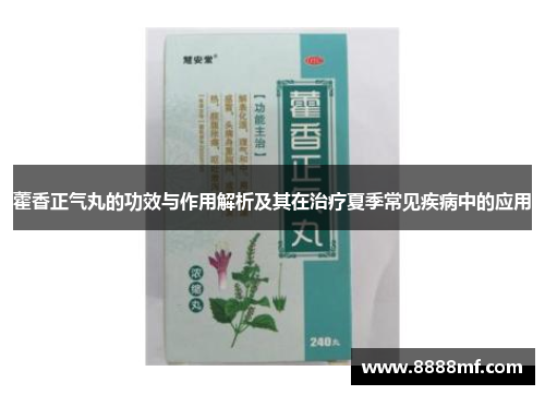 藿香正气丸的功效与作用解析及其在治疗夏季常见疾病中的应用